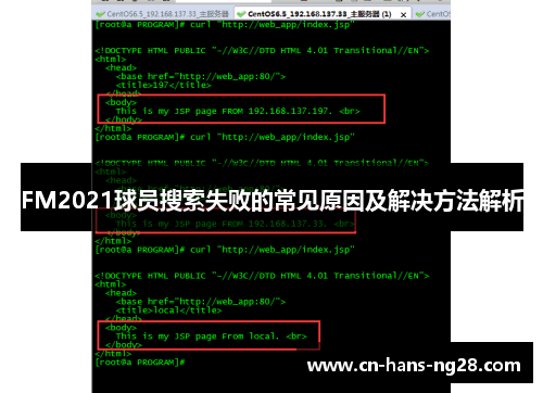 FM2021球员搜索失败的常见原因及解决方法解析