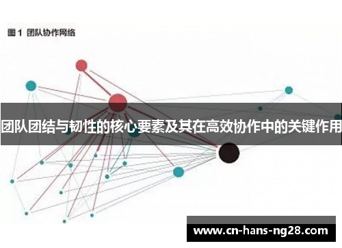团队团结与韧性的核心要素及其在高效协作中的关键作用